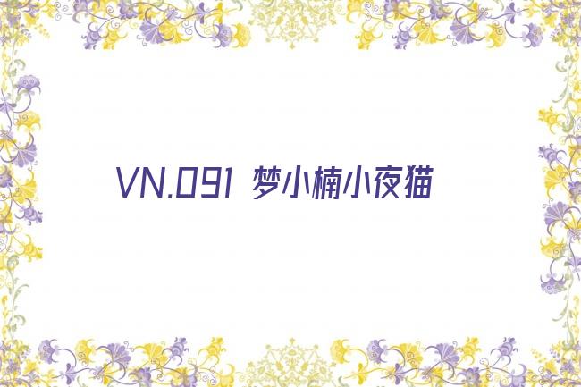 VN.091 梦小楠小夜猫剧照